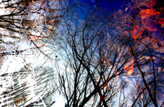 R0004065