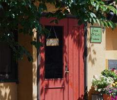 DSC03900
