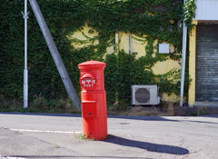 DSC04869