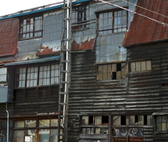 DSC04333