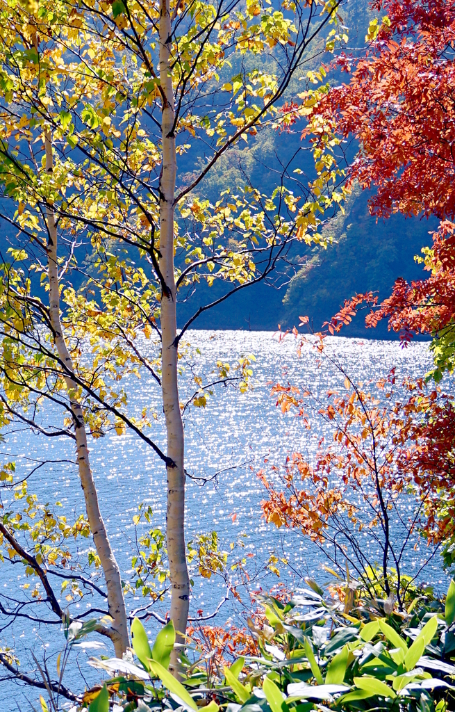 DSC02915a