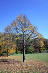 R0003372