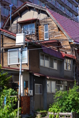 DSC04867