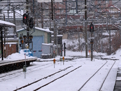 DSC04990
