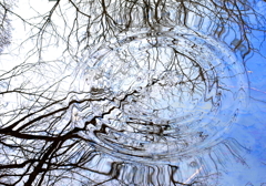 R0004945