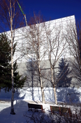 R0007234