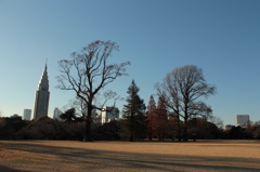 好きな空