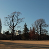 好きな空