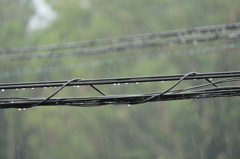 梅雨の景色