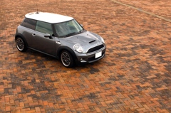 miniのいる場所