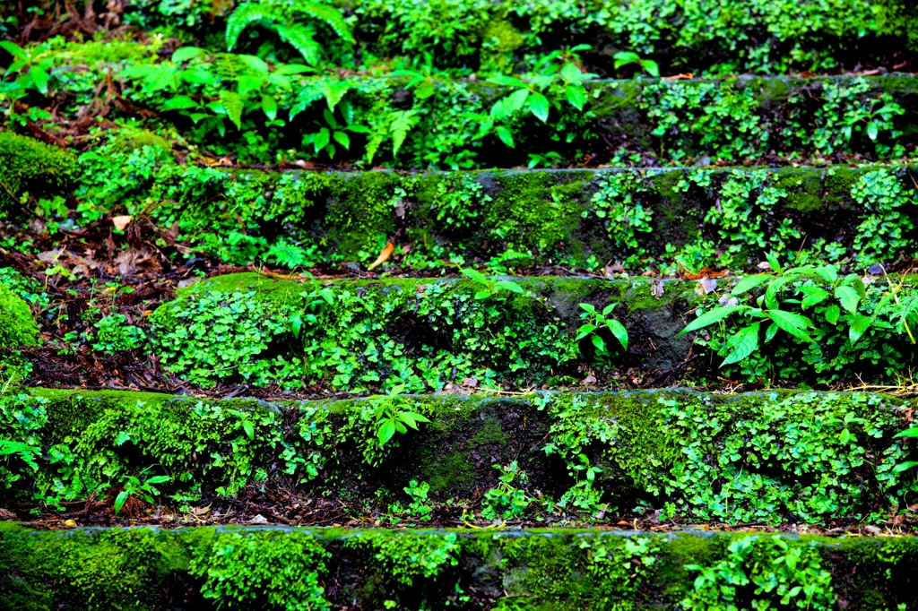 Green Stairs