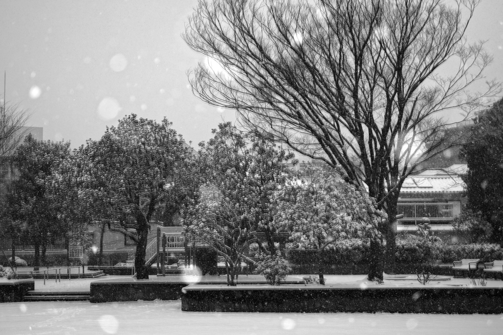 雪の降る公園