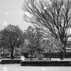 雪の降る公園