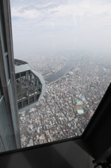 展望回廊からの景色