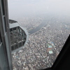 展望回廊からの景色
