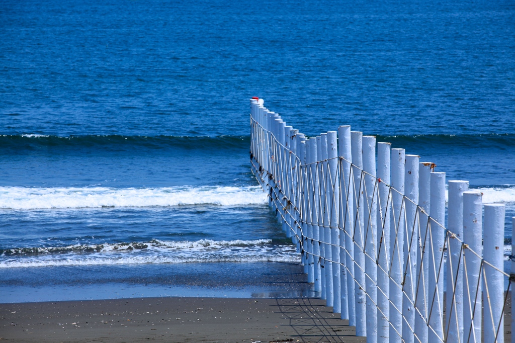 湘南の海で