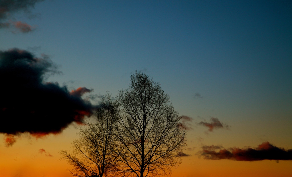 美瑛の空