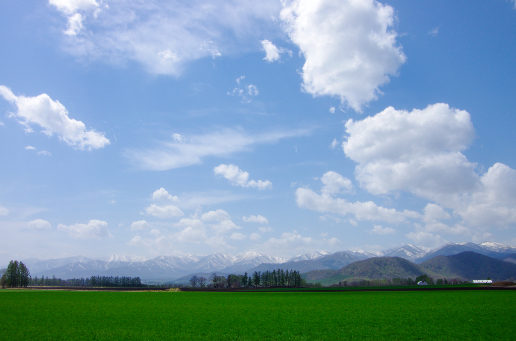 五月の青空