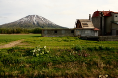 サイロのある風景　