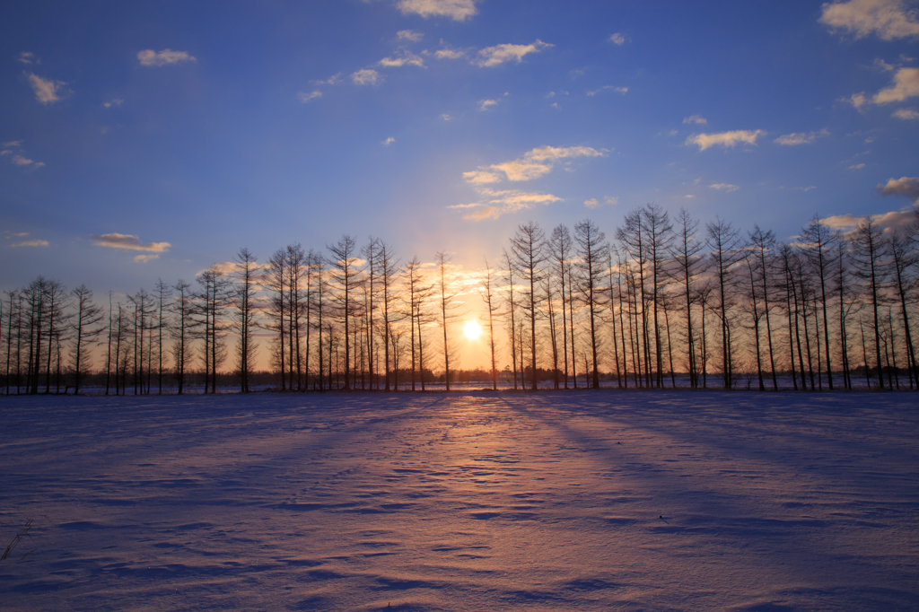 今年の初日の出SUN!!