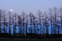 Blue twilight 