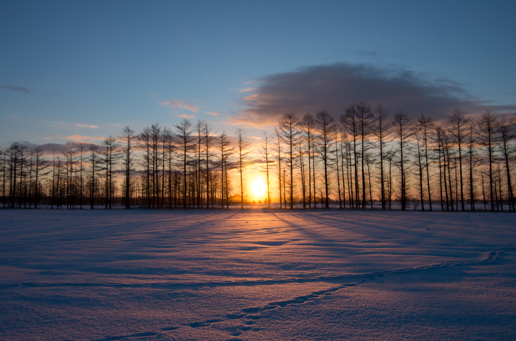 -18℃の朝