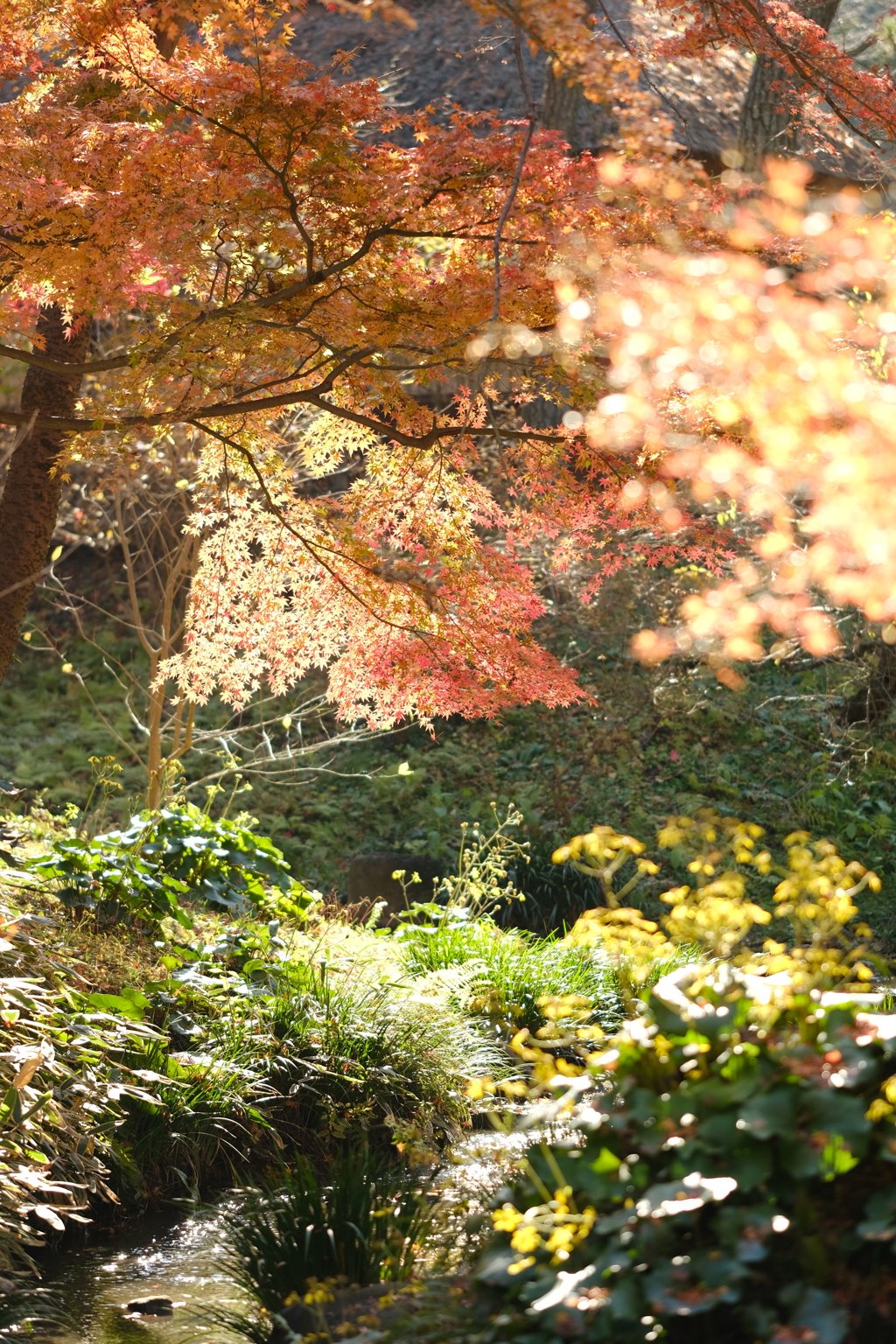 秋の原風景