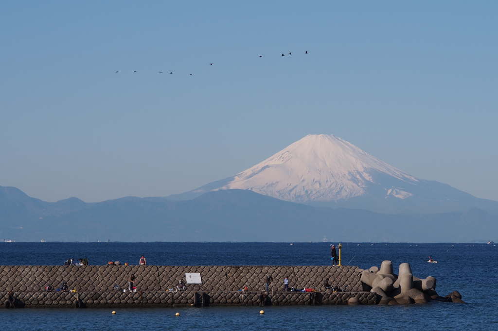 快晴の釣り日