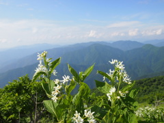 P6170952