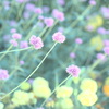 P8260498