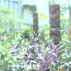 P8260531