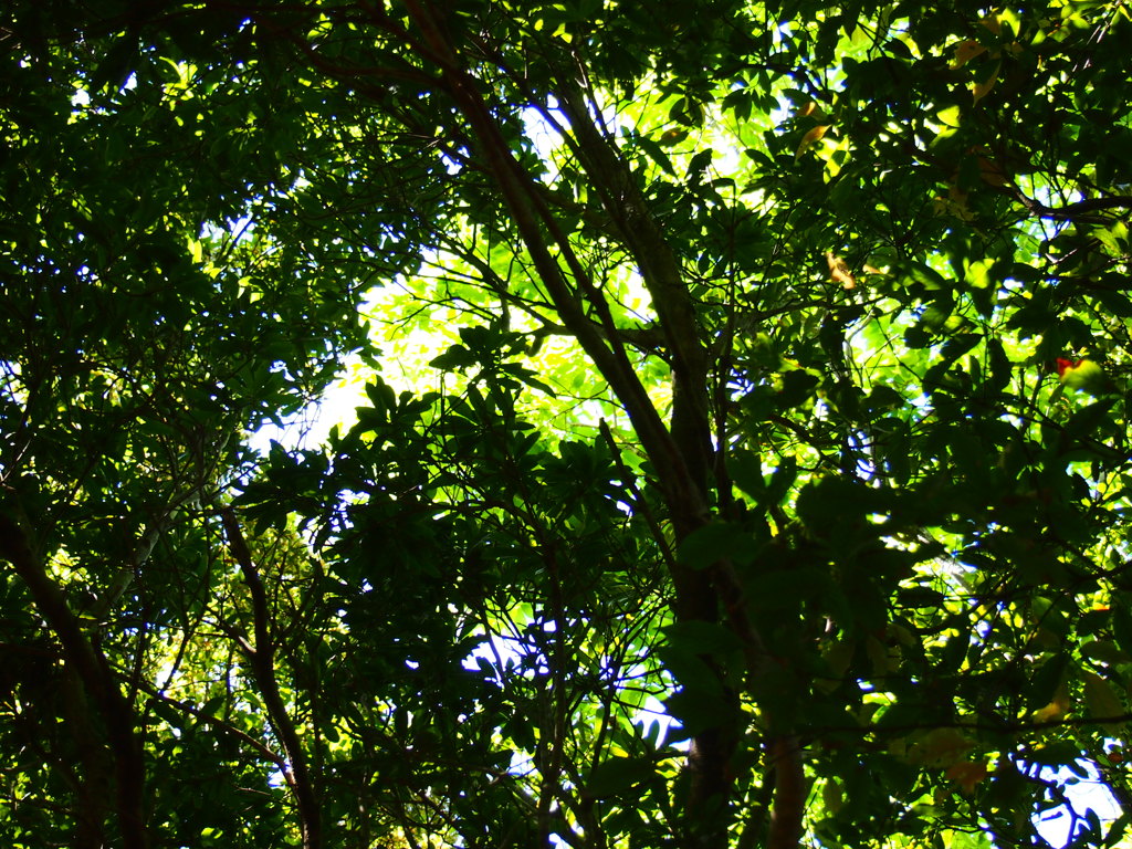 P5030088