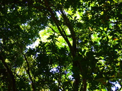P5030088