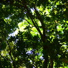P5030088