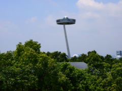 P6140167