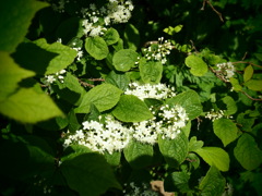 P6170961