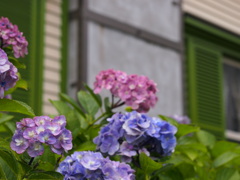 P7030303