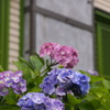 P7030303