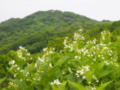 P6170935