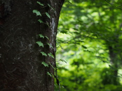 P6170218