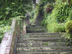 P7020279