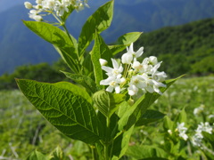 P6170957