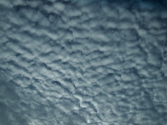 P7161087