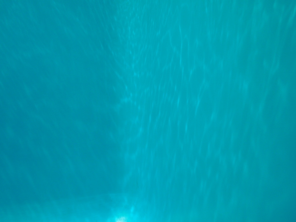 P7150970