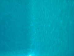 P7150970