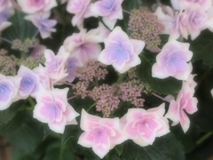 P6140172