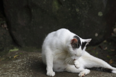 一休み