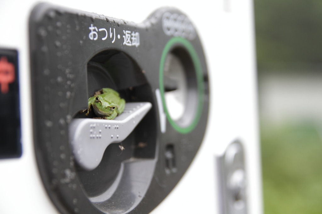 こんなところで雨宿りですか？