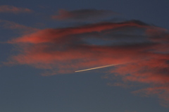 white　arrow