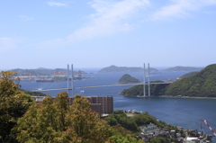 橋を見下ろして